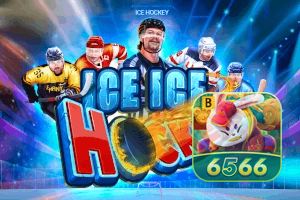6566BET feedback — categorias de sugestão e melhoria no app