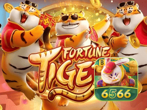 Guia install APK 6566BET BR
