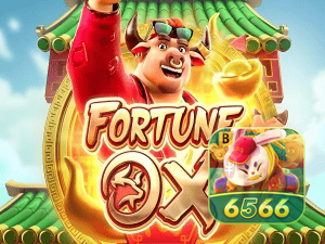6566BET login — painel de entrada no app oficial